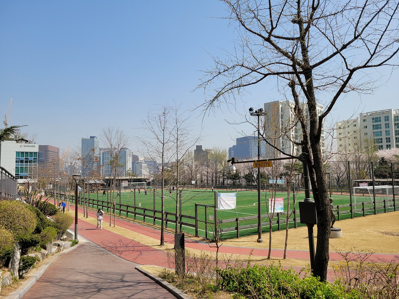 塞队在场上