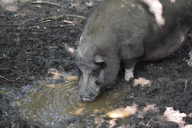 更是集体荣 更是集体荣