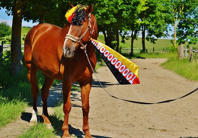 泰托姆自2 泰托姆自2